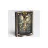 Leonardo MMXVIII Gold Edition by Art Playing Cards wwww.jeux2cartes.fr