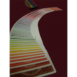 Spectrum Tally Ho Deck by US Playing Card Co. wwww.jeux2cartes.fr