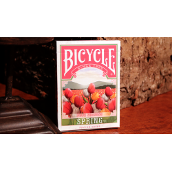 Bicycle Four Seasons Limited Edition (Spring) Playing Cards wwww.jeux2cartes.fr