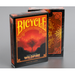 Vélo Catastrophes naturelles « Feu de forêt » Cartes à jouer par cartes à jouer à collectionner wwww.jeux2cartes.fr