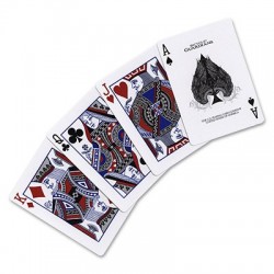 Cards Bicycle Guardian USPCC wwww.jeux2cartes.fr