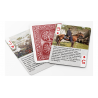Histoire des cartes à jouer de la guerre de Sécession wwww.jeux2cartes.fr