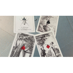 Cotta's Almanac 1 Transformation Playing Cards wwww.jeux2cartes.fr
