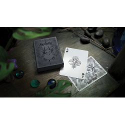 Cartes à jouer Axolotl par Enigma Cards wwww.jeux2cartes.fr